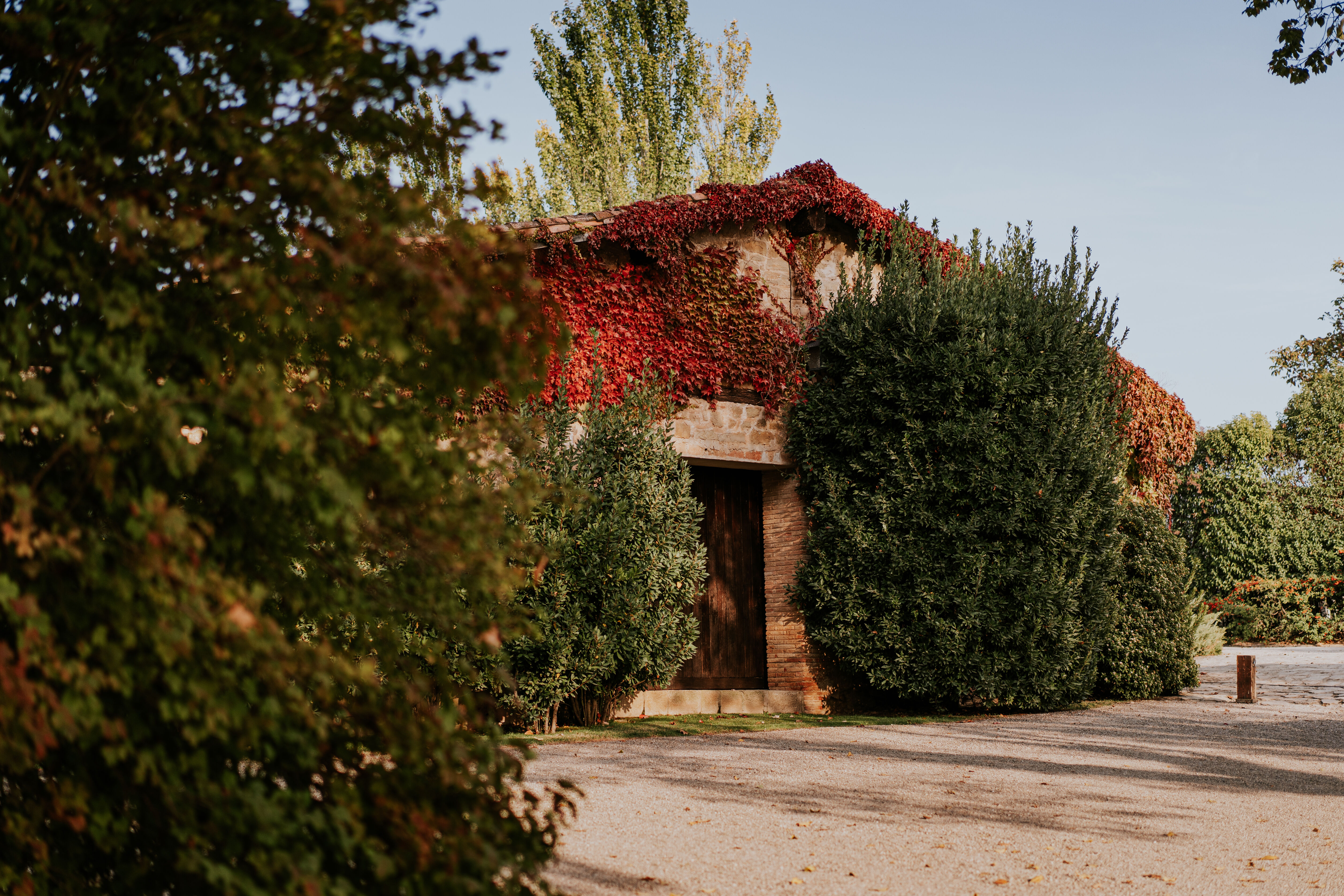Bodega Viñedos del Contino (Álava)