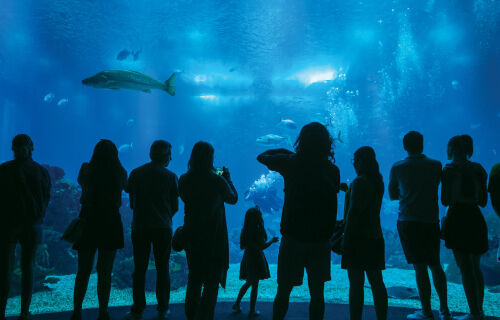 Oceanário de Lisboa