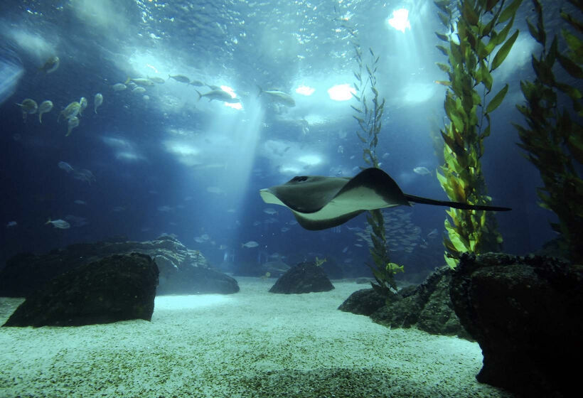 Oceanário de Lisboa