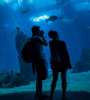 Oceanário de Lisboa