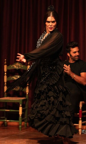 Palau Dalmases: Flamenco Show