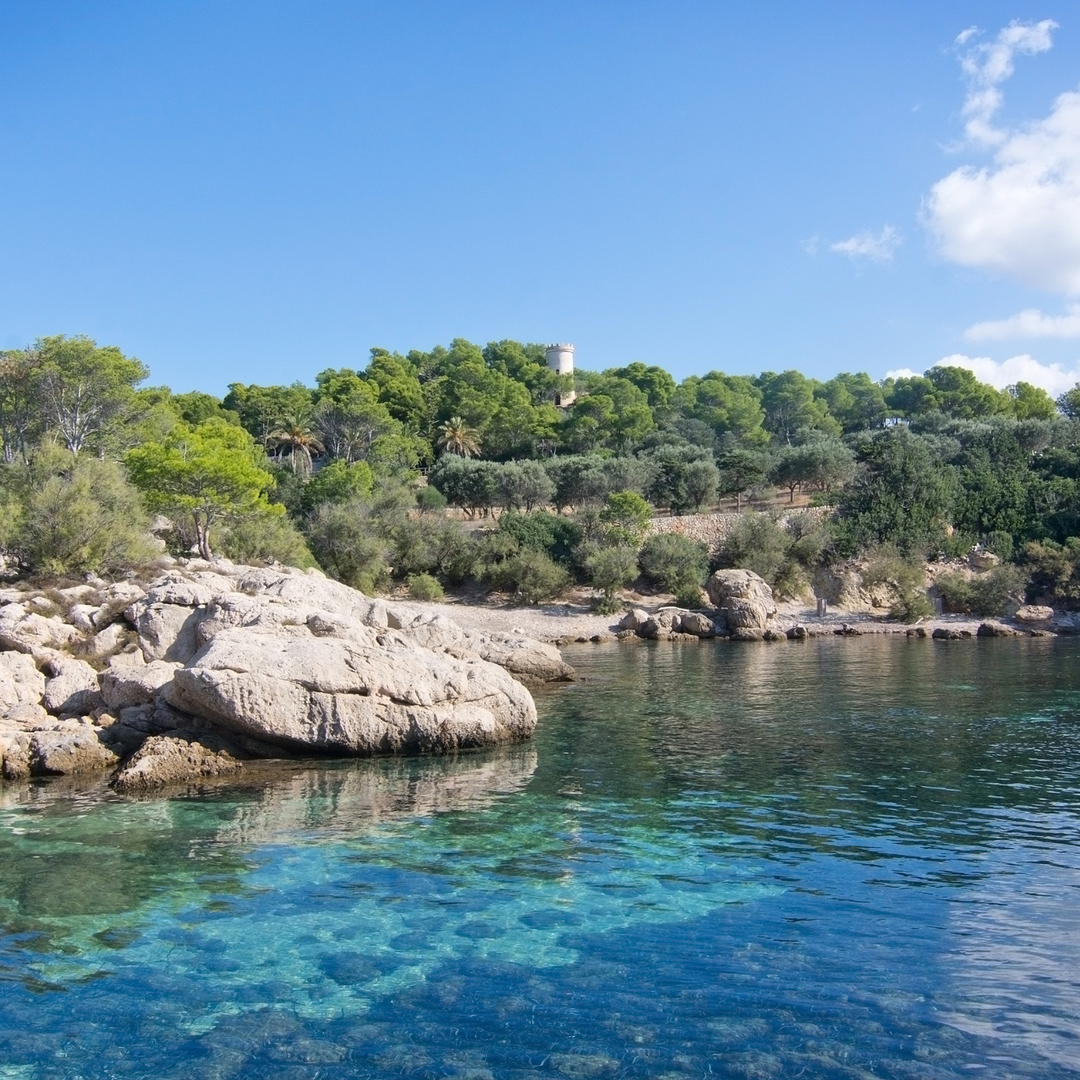 Boat Tours desde Andratx (Mallorca)