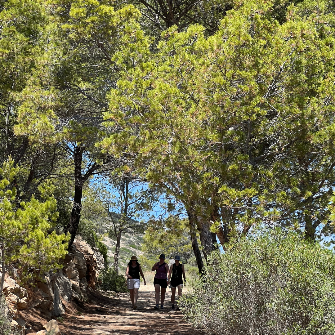 Boat Tours desde Andratx (Mallorca)