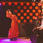 Los Tarantos Barcelona: Spettacolo di flamenco