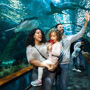 Loro Parque: Biglietto d'ingresso + Diamond Pass