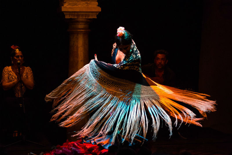 Museo del Baile Flamenco: Solo el espectáculo