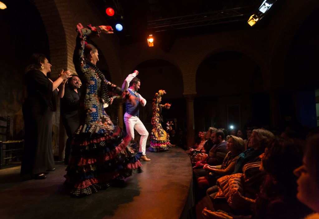 Musée de la Danse Flamenco - Spectacle uniquement