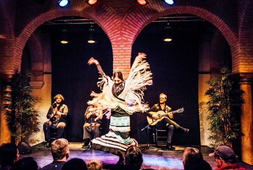 Musée de la Danse Flamenco - Spectacle uniquement
