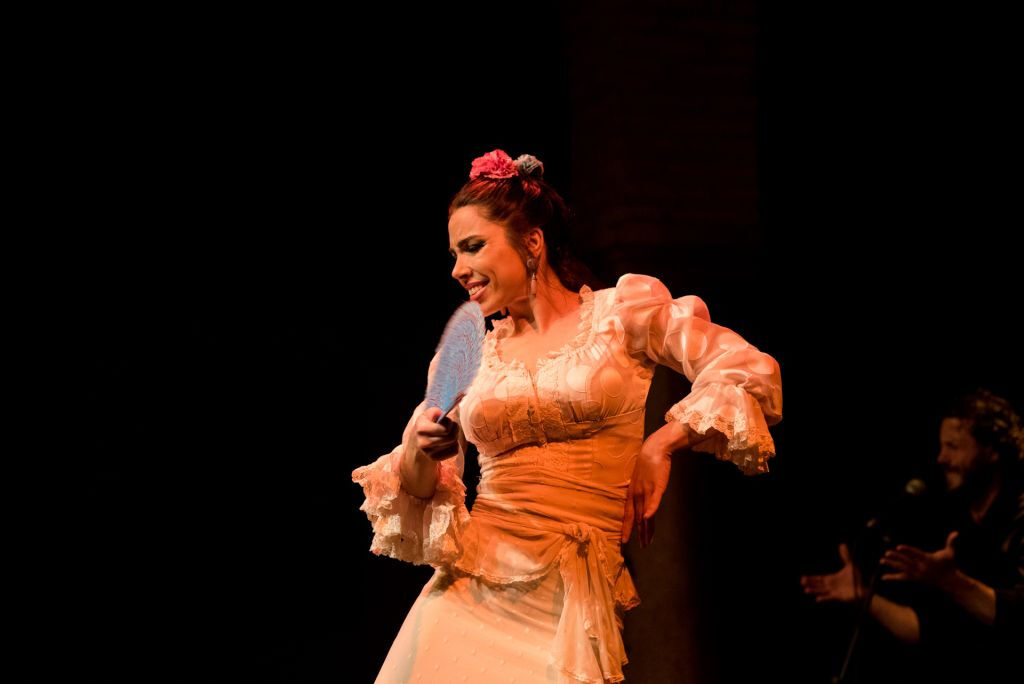 Musée de la Danse Flamenco - Spectacle uniquement