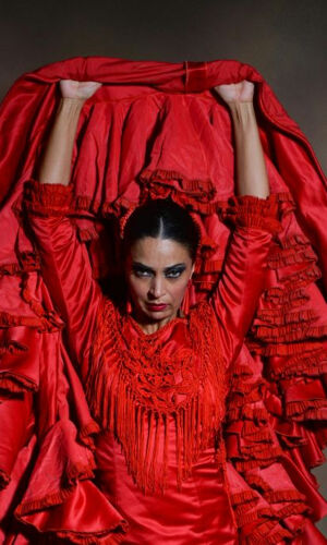 Teatro Flamenco Granada: Espectáculo Sensaciones