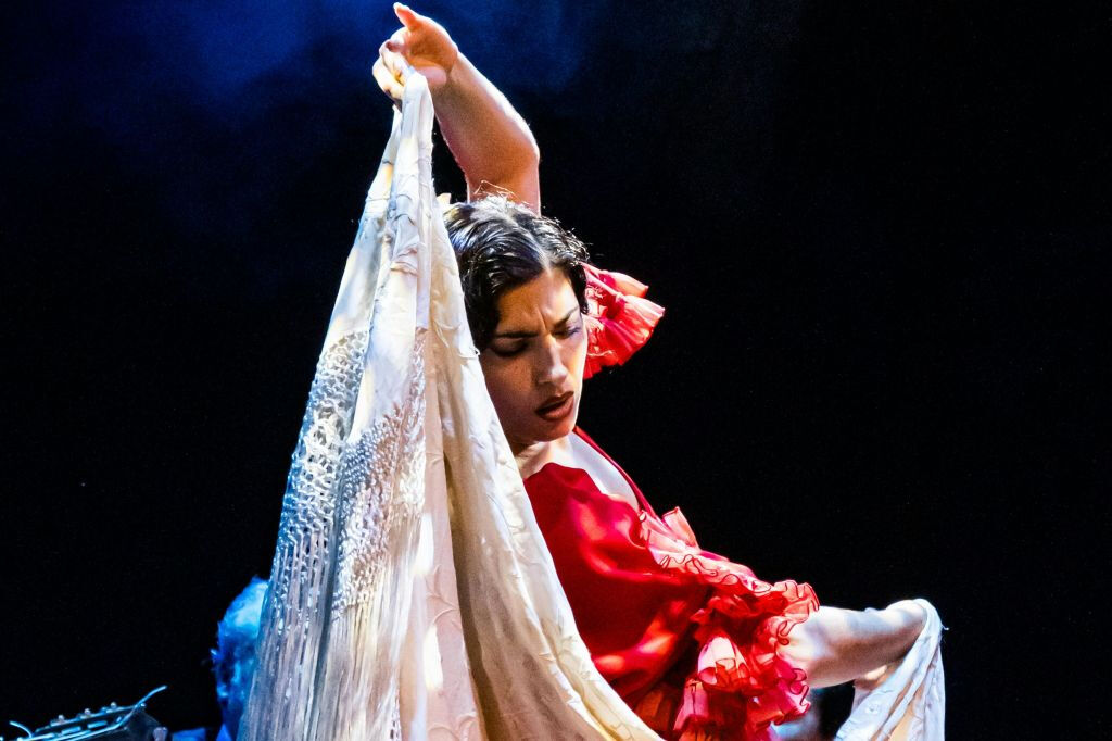 Teatro Flamenco Granada: Espectáculo Sensaciones