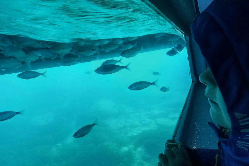 Costa Brava: Excursión en barco de 2,5 horas + Visita a la Cueva Secreta