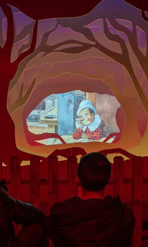 Museo di Pinocchio: Biglietto d'ingresso
