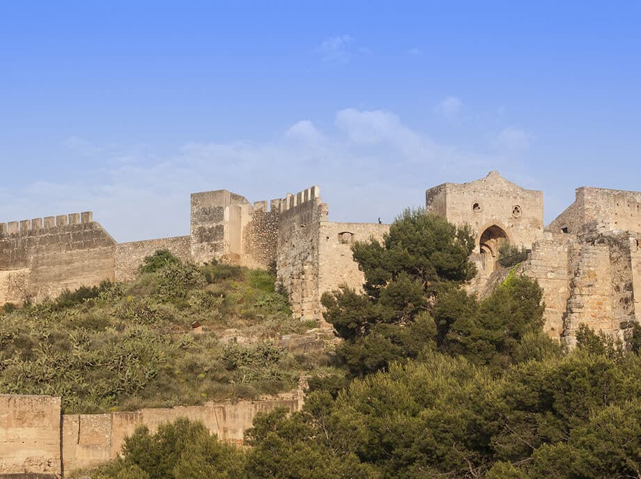 Visita a Sagunto con Guía