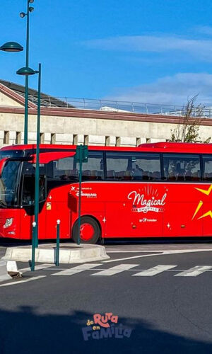 Navette entre l'aéroport Charles de Gaulle et Disneyland Paris