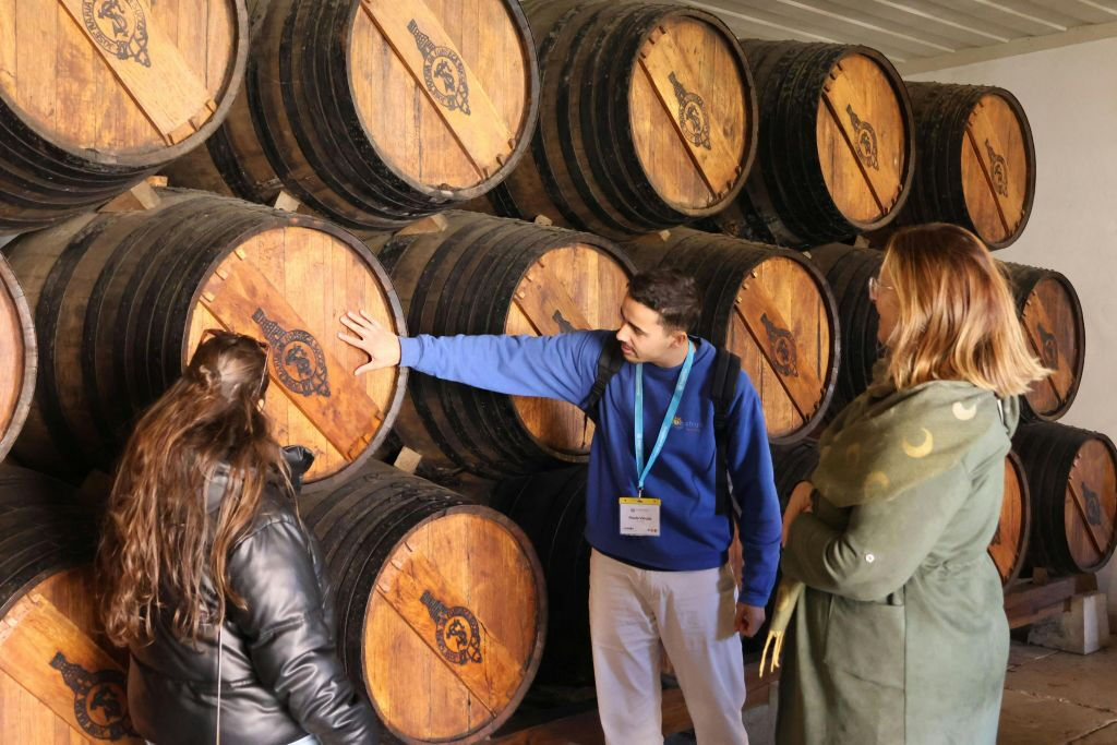 Parque Natural da Arrábida: Visita Guiada + Transfer + Prova de Vinhos