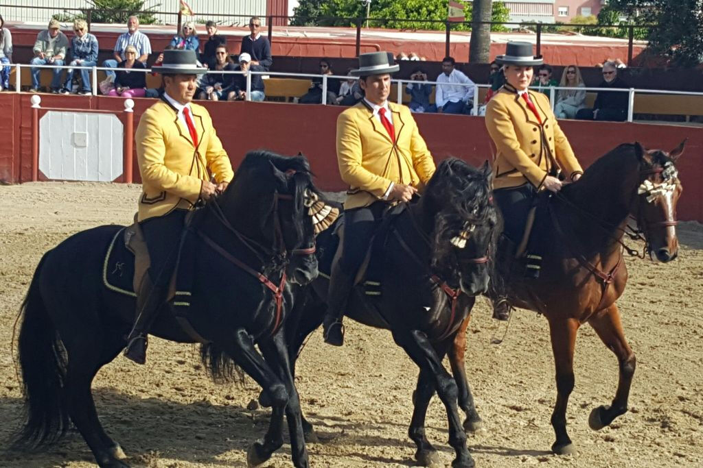 Las Lagunas de Mijas: Evening Equestrian Show + Hotel Transfer