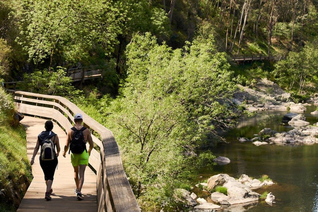 516 Ponte de Arouca e Passadiços do Paiva: Visita guiada a partir do Porto + Almoço