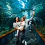 Loro Parque: Entrada + Comida