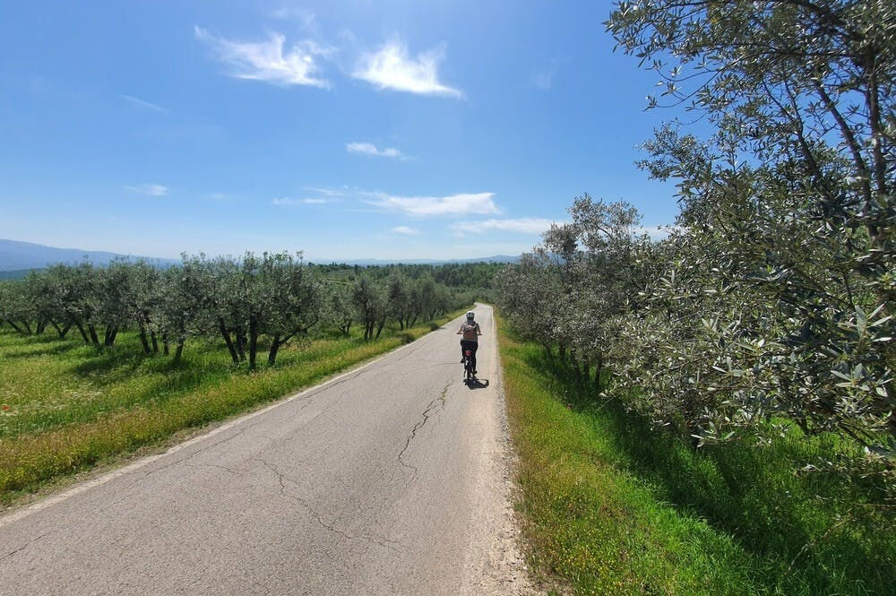 Chianti: Guided E-bike Tour + Lunch + Wine Tasting