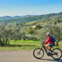 Chianti: Tour guidato in e-bike + pranzo + degustazione di vini