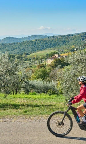Chianti: Guided E-bike Tour + Lunch + Wine Tasting