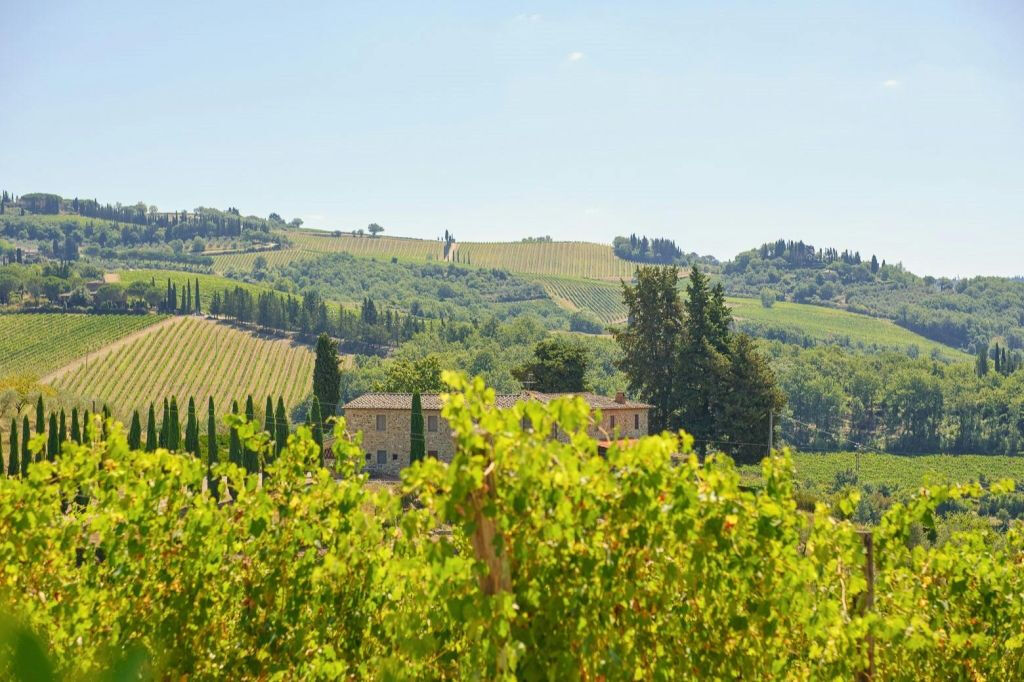 Chianti: Guided E-bike Tour + Lunch + Wine Tasting