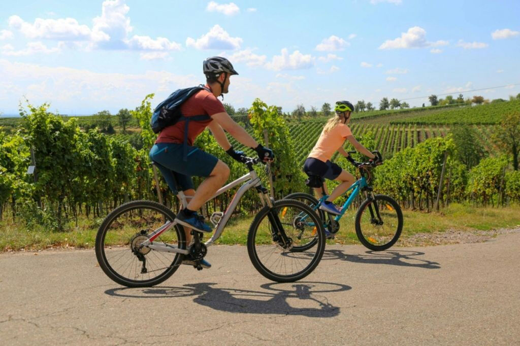 Chianti: Guided E-bike Tour + Lunch + Wine Tasting