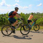 Fiesole: Tour guidato in e-bike da Firenze + degustazione di olio d'oliva