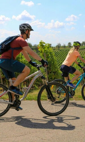 Fiesole: Guided E-bike Tour from Florence + Olive Oil Tasting