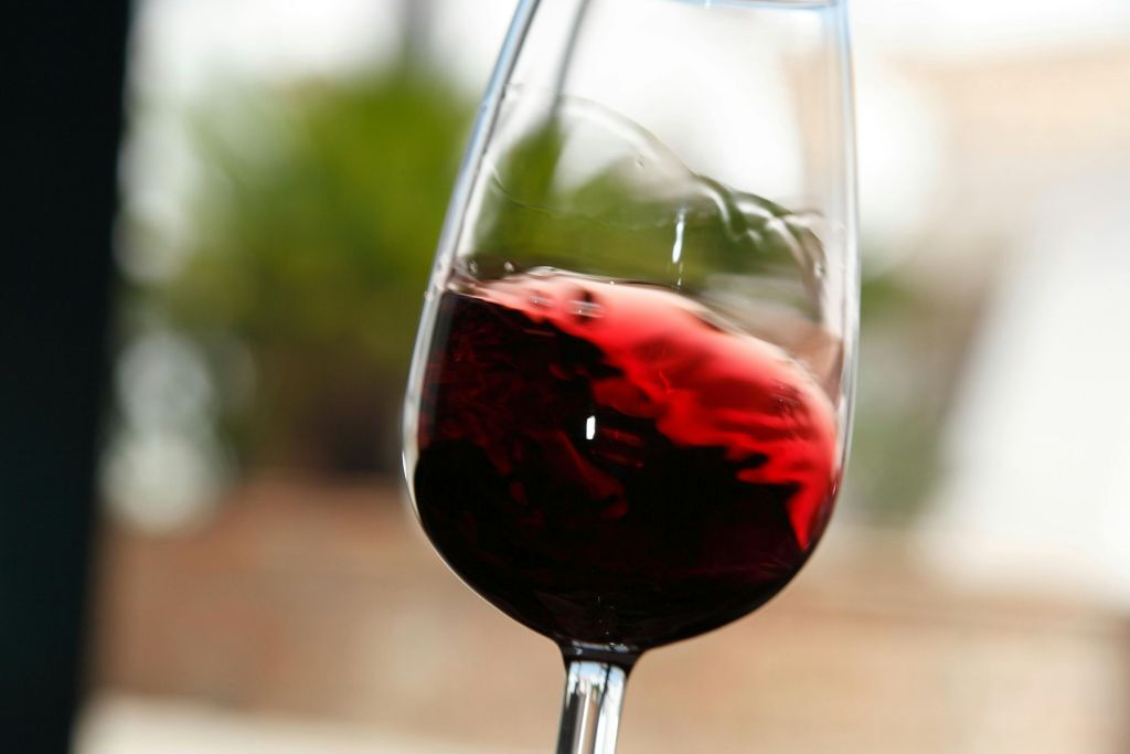 Albufeira: Guided Tour + Wine Tasting + Transfers