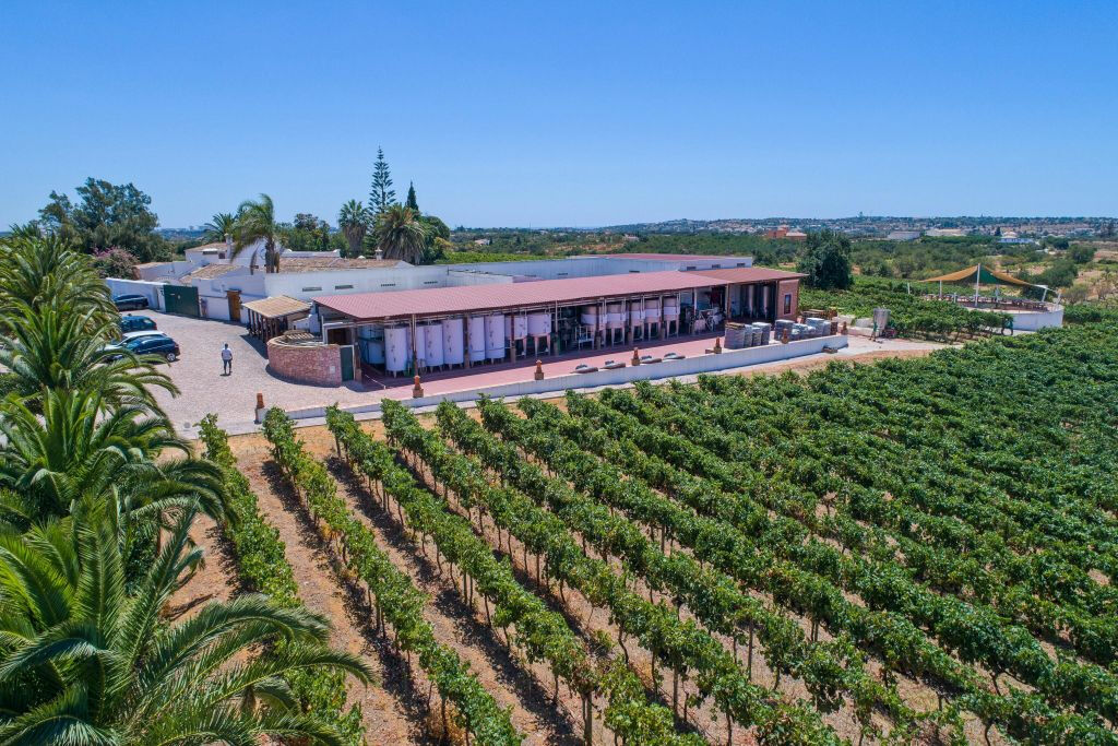 Albufeira: Guided Tour + Wine Tasting + Transfers