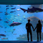 Palma Aquarium: Skip The Line Ticket