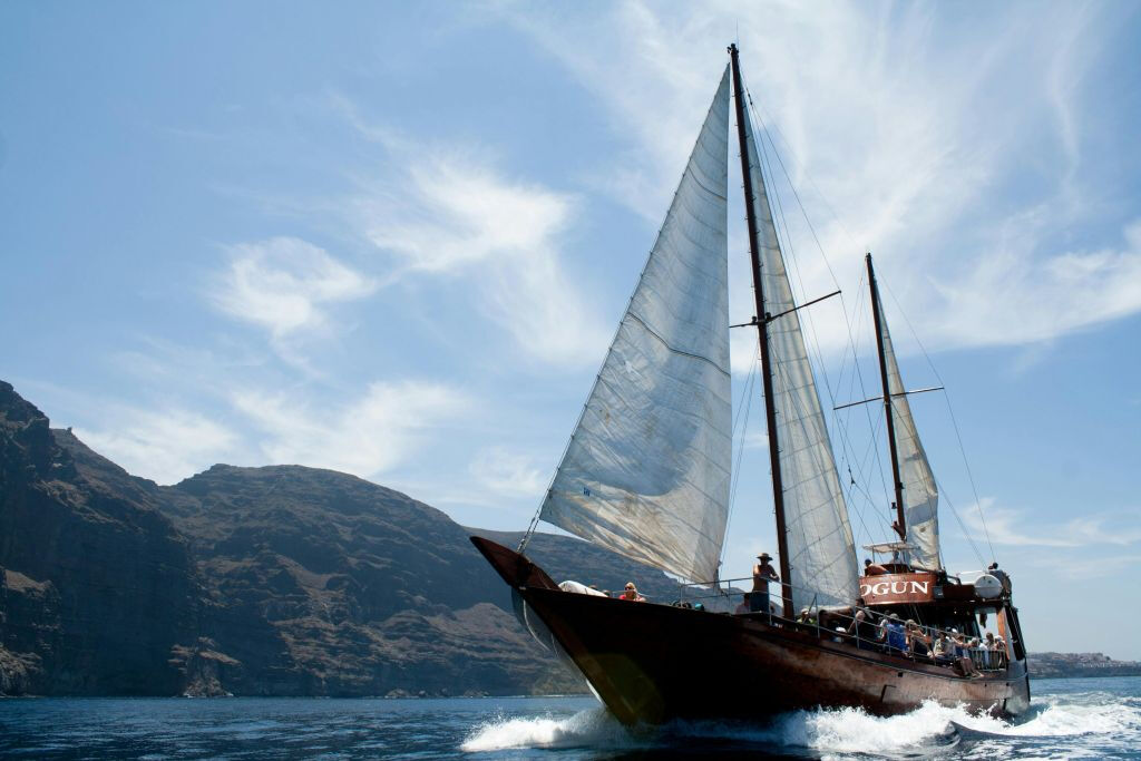 Los Gigantes: Tour guidato di 5 ore per l'osservazione delle balene da Costa Adeje + Pranzo