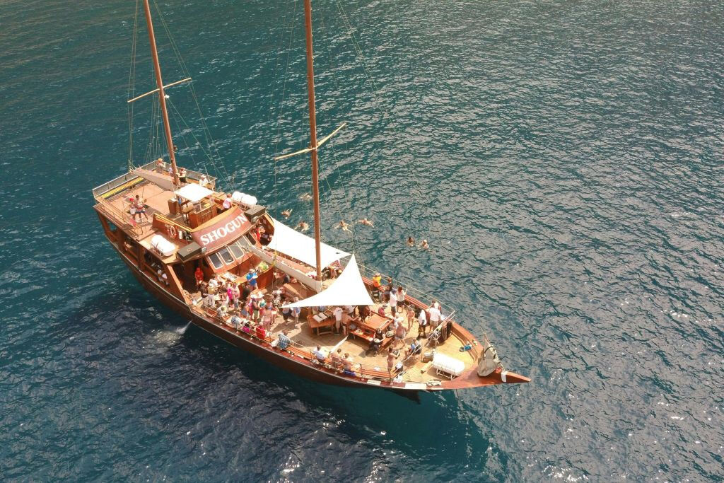 Los Gigantes: Tour guidato di 5 ore per l'osservazione delle balene da Costa Adeje + Pranzo