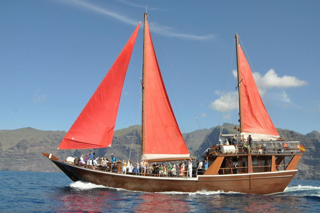 Los Gigantes: Tour guidato di 5 ore per l'osservazione delle balene da Costa Adeje + Pranzo