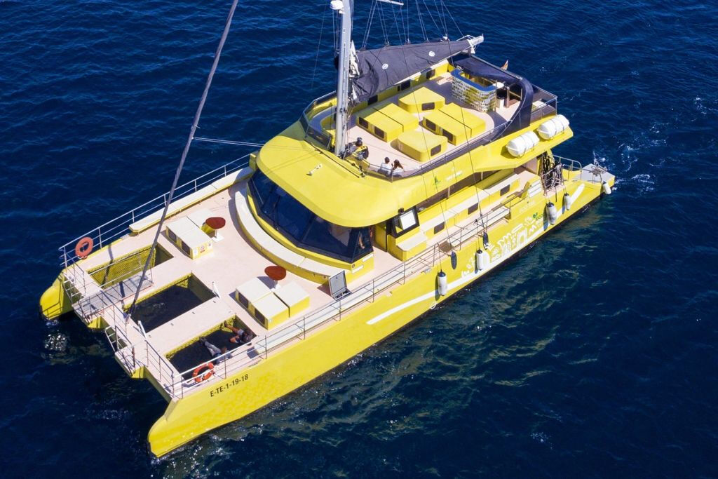 Barcellona: Crociera in catamarano al tramonto con spettacolo dal vivo