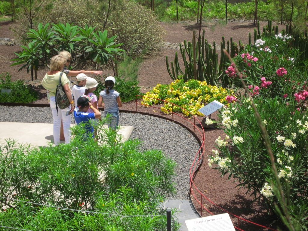 Pyramides de Güímar: Billet d'entrée