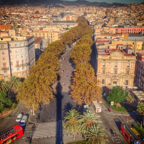 Mirador del Monumento a Colón