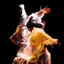Flamenco Dance Museum: Entry Ticket + Puro Flamenco Show