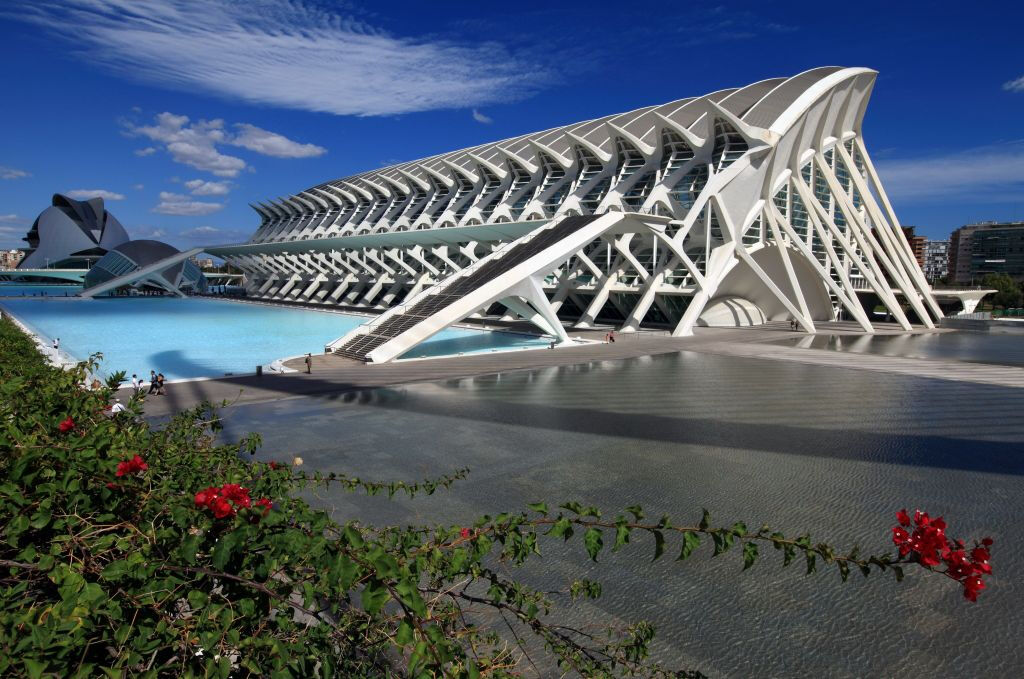 Museo de las Ciencias Valencia: Entrada sin colas