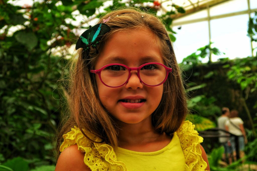 Benalmadena Butterfly Park: Entry Ticket