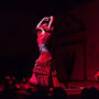 El Palacio Andaluz Séville : Solo Flamenco