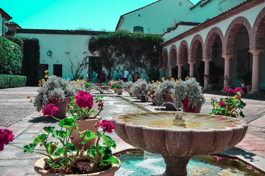 Palais & Patios de Viana : visite guidée