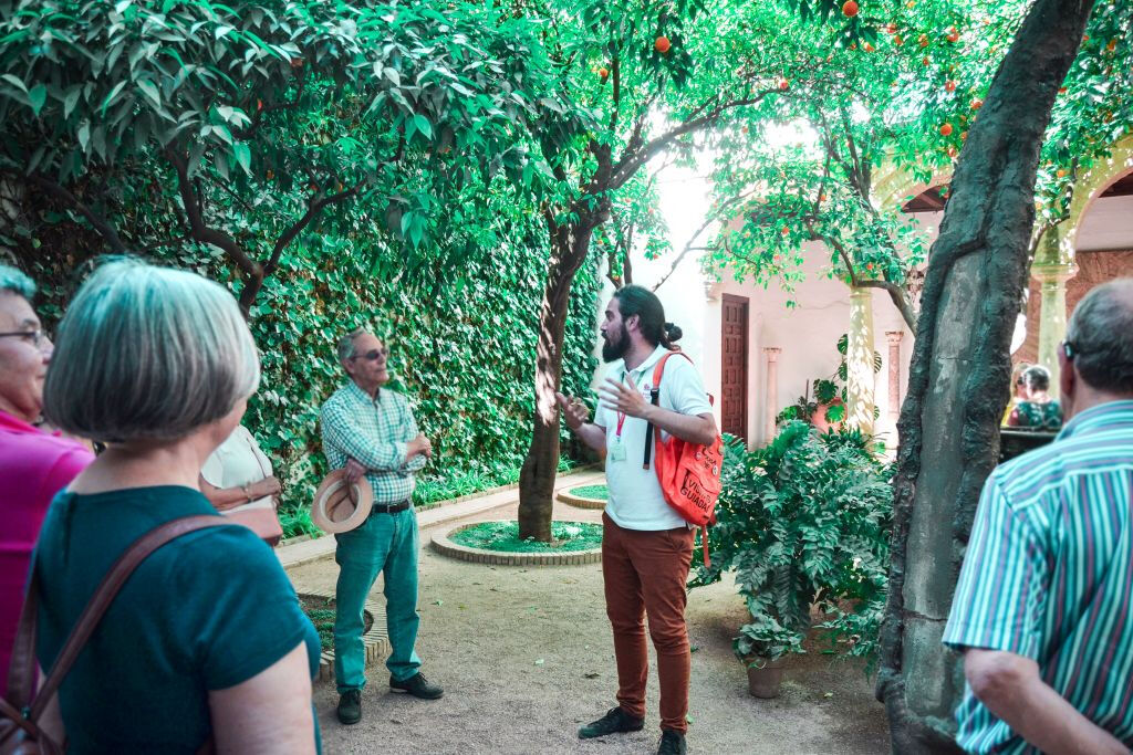 Palais & Patios de Viana : visite guidée