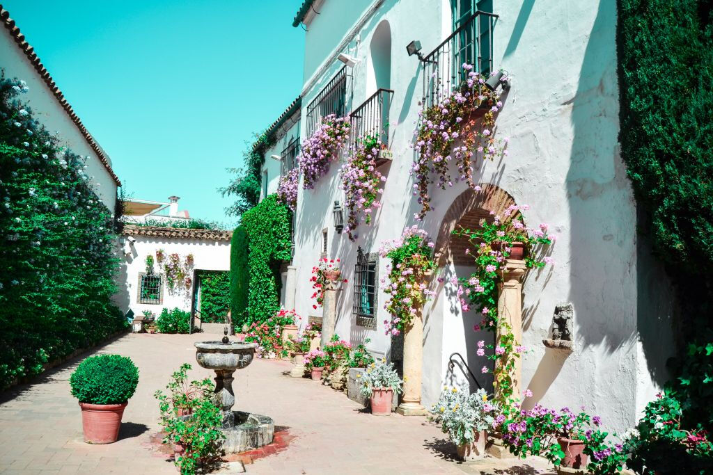 Palais & Patios de Viana : visite guidée