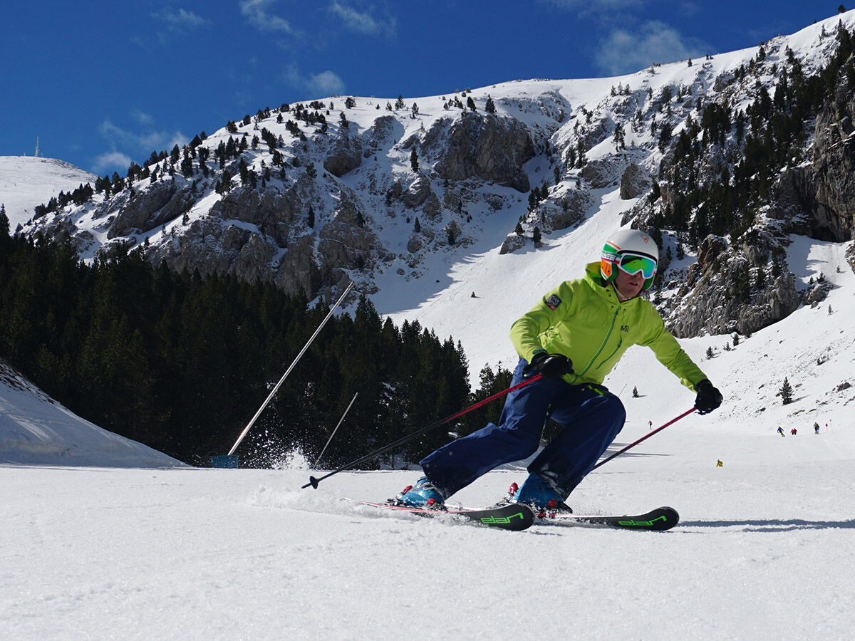 Masella