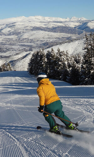 Masella