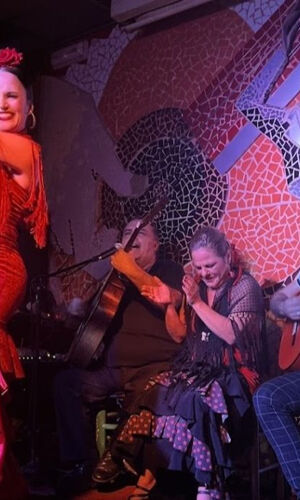 Tablao Flamenco El Toro y la Luna Espectáculo & Cena & Bebida