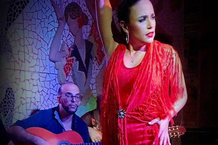 Tablao Flamenco El Toro y la Luna Espectáculo & Cena & Bebida